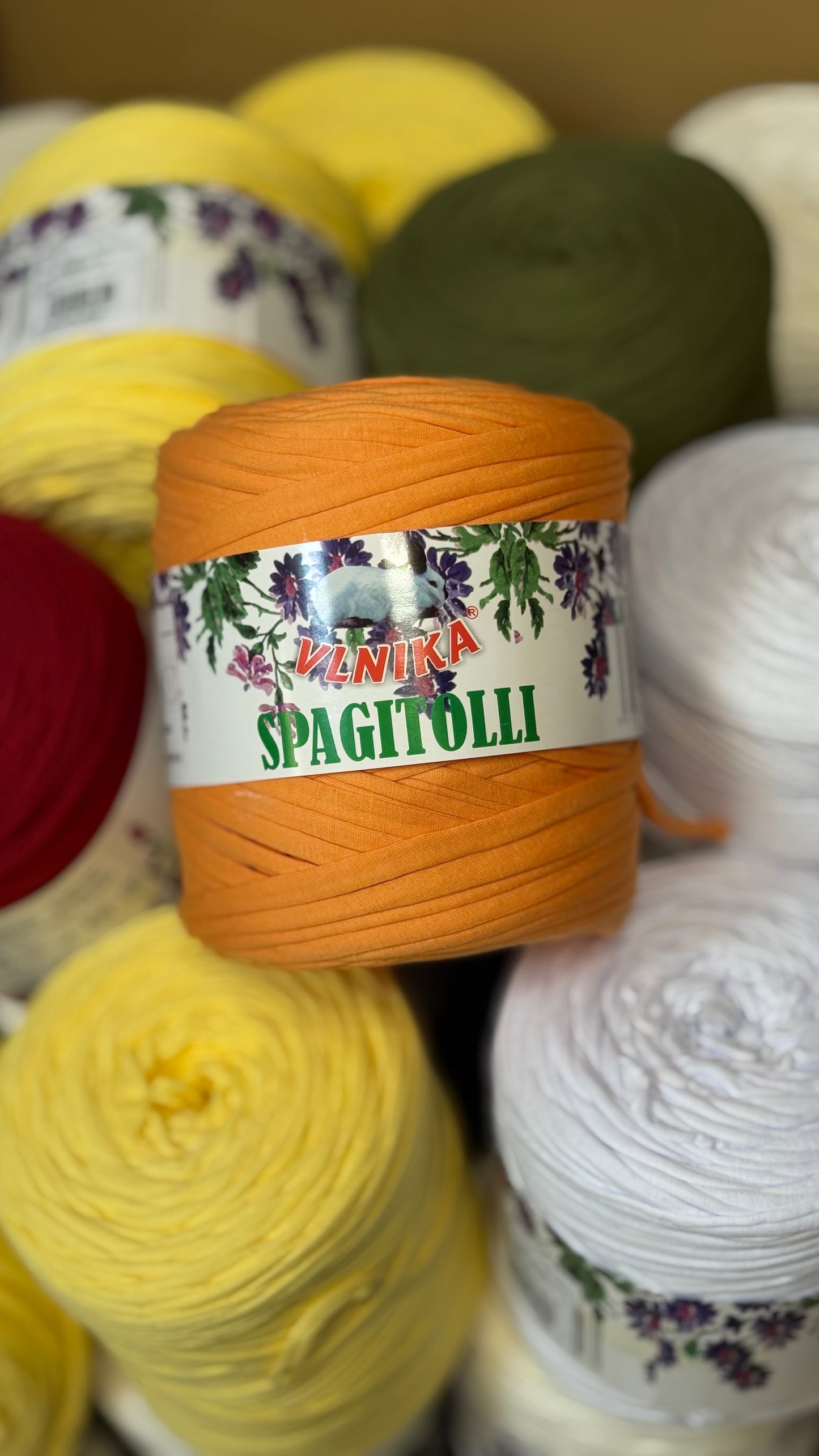 T-särgid | Spagetiniit-120m 700g