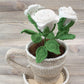 Dzija Yarn Art Baby Cotton-maigi rozā 165m 50g #410