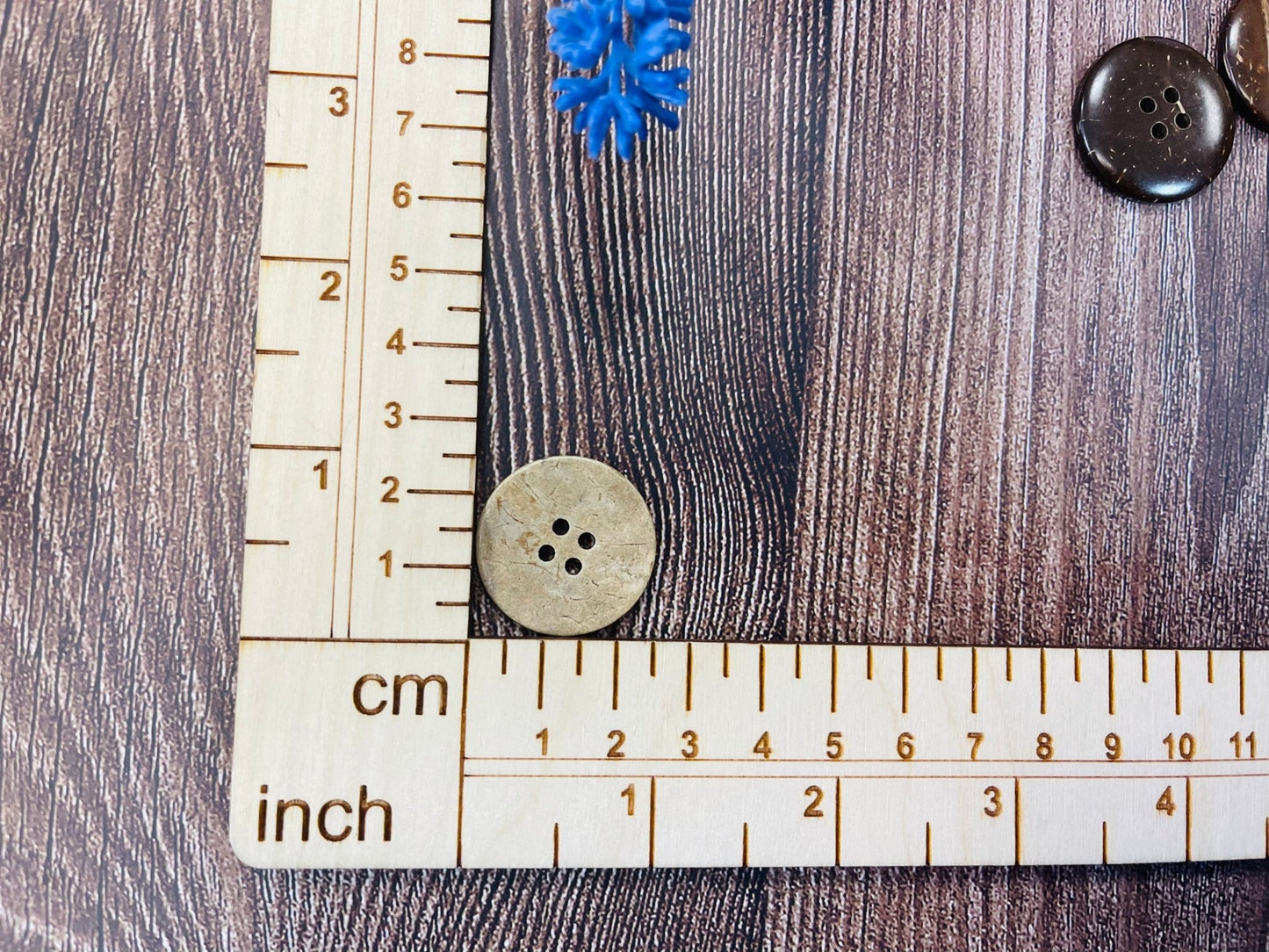 Kokosa pogas 25 mm